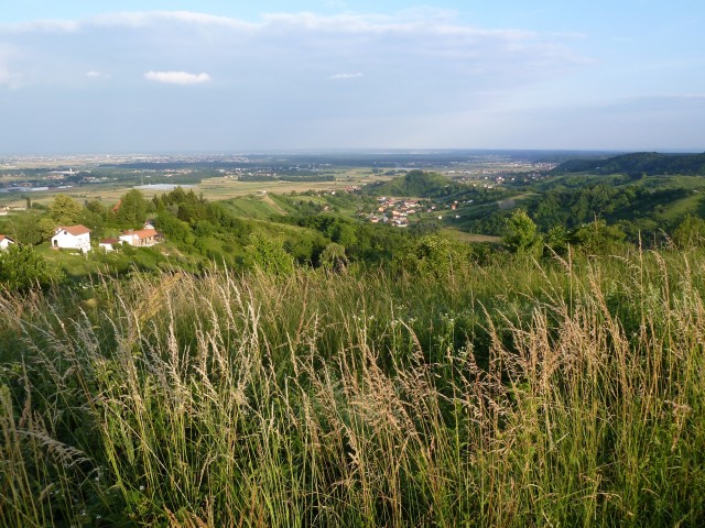 vue avant zagreb