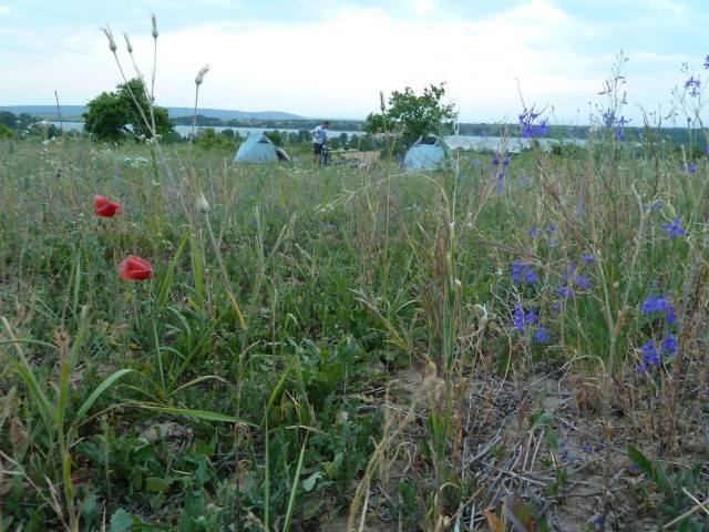 camping Danube