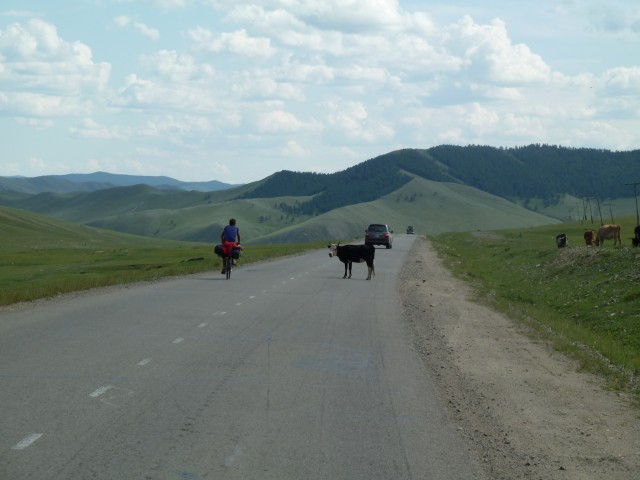 Mongolie