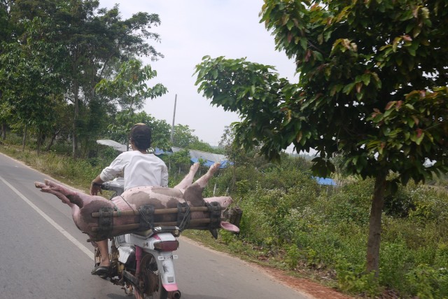 Cambodge