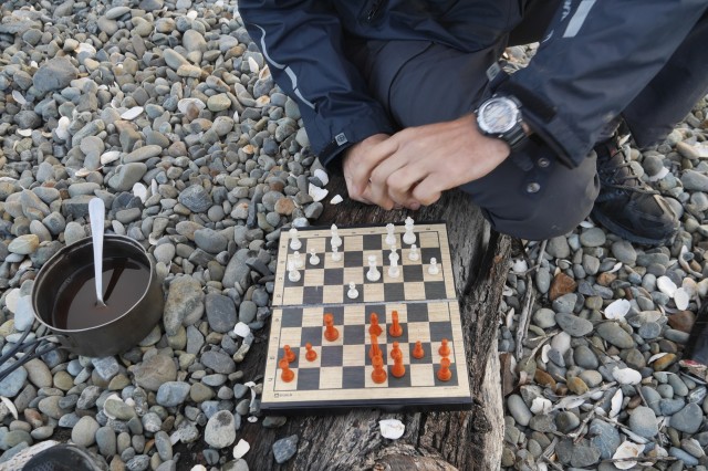 échecs