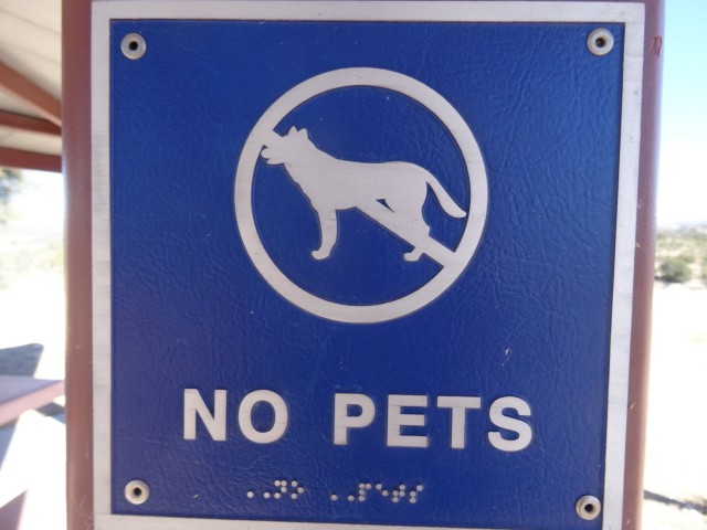  Imagine the happiness of a blind guy and his dog who end up finding this sign