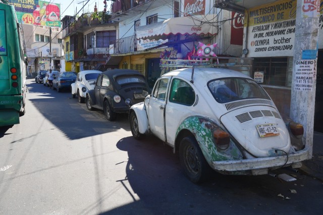 Volkswagen coccinelles